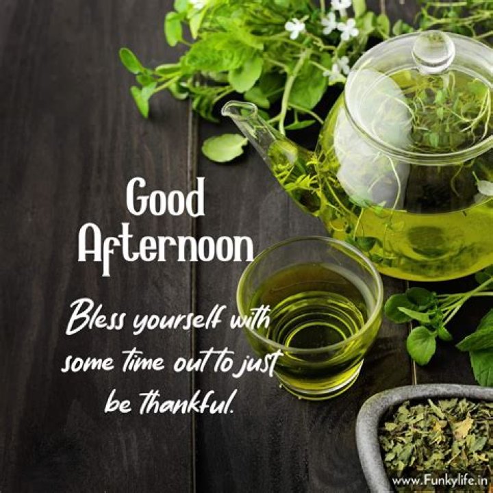 100+ BEST Good Afternoon Images, Photos, Pictures for WhatsApp