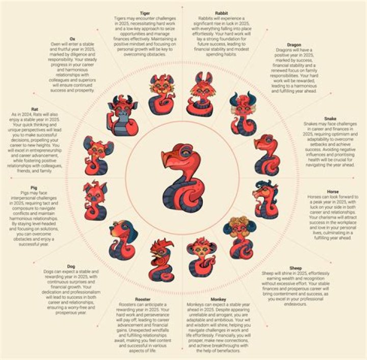 A Comprehensive Exploration For The Curious