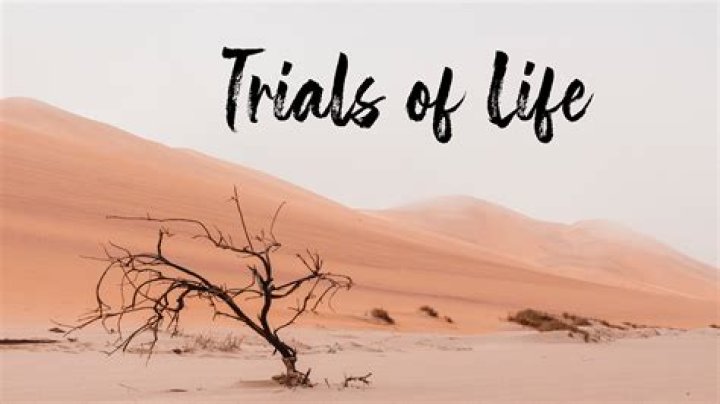 A Life Of Triumphs And Lessons