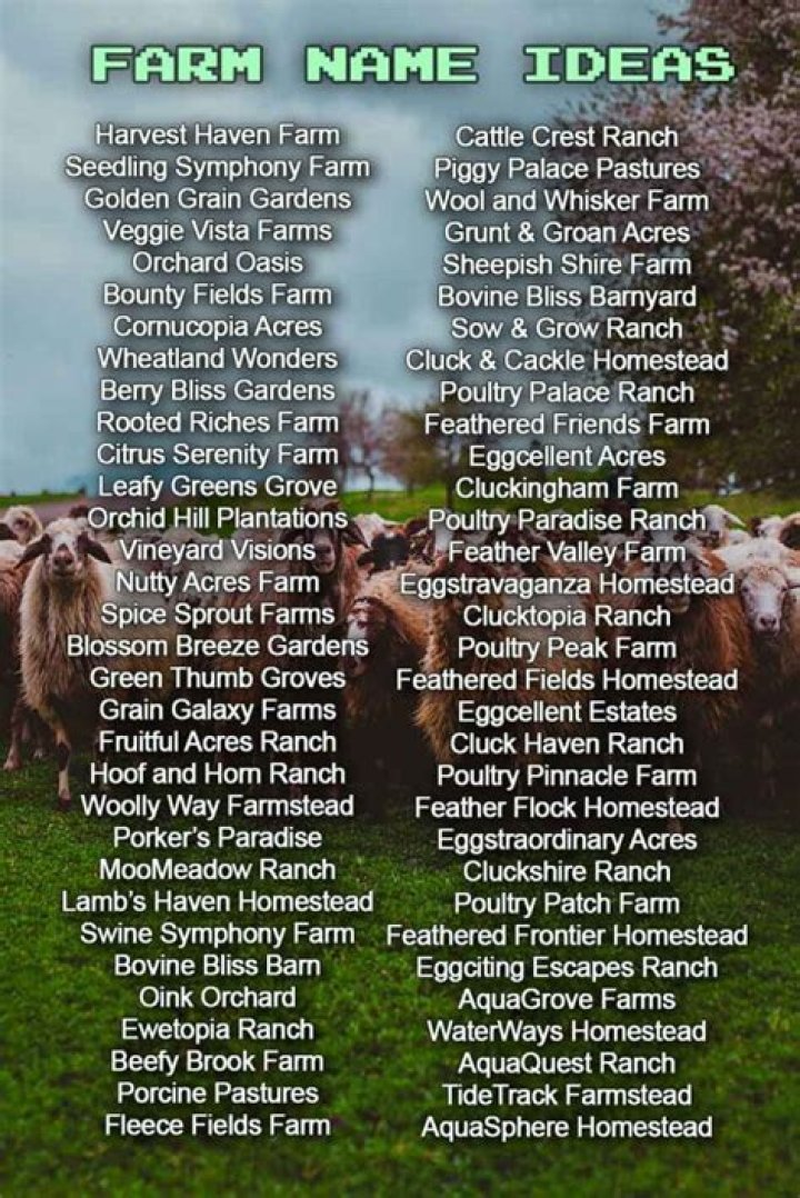Discover Enchanting Flower Farm Name Ideas