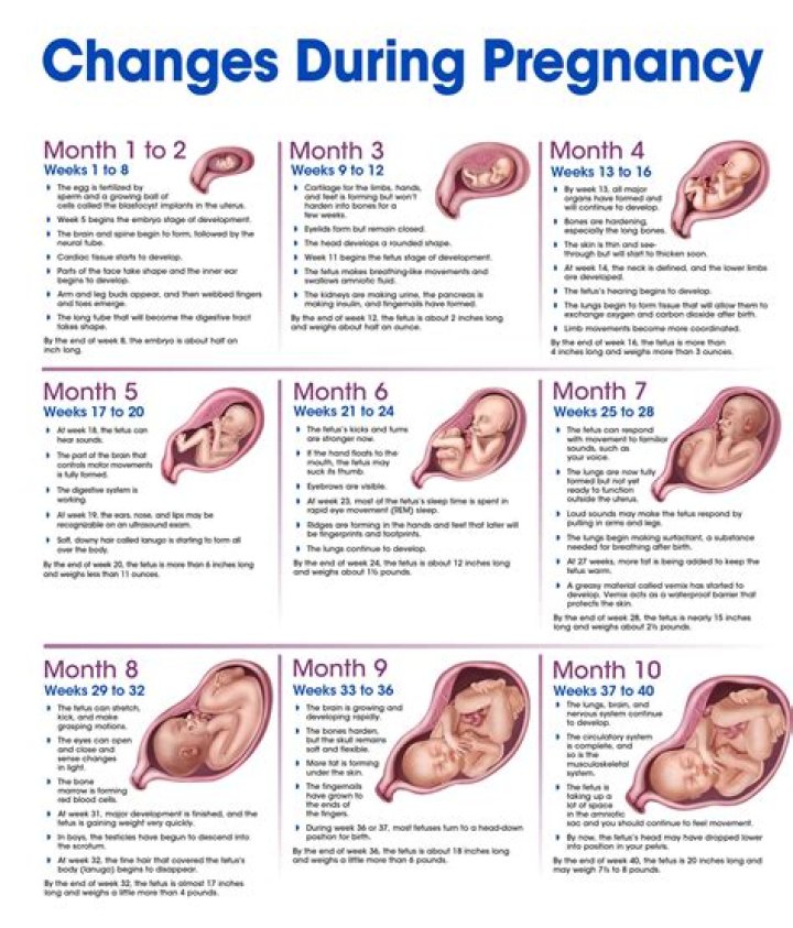 Discover The Secrets Behind Rachel Zoe's Pregnancy Journey