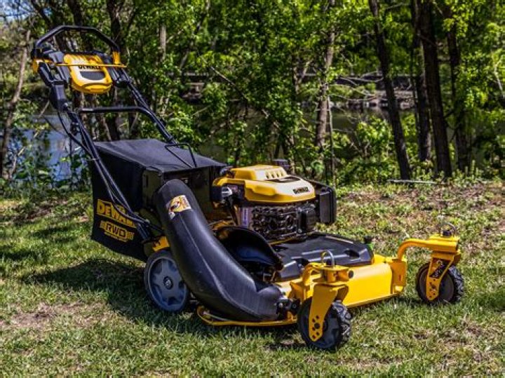 Discover The Ultimate Guide To Self-Propelled Lawn Mowers For 2024