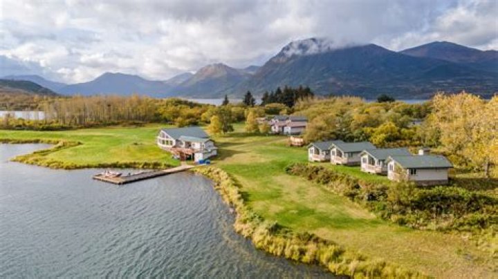 Discoveries And Insights From Camp Kodiak