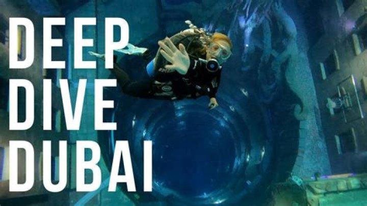 Dive Into The World Of 5movies Tv