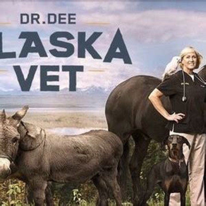 Dr. Dee Alaska Vet Season 1 Release Date, News & Reviews