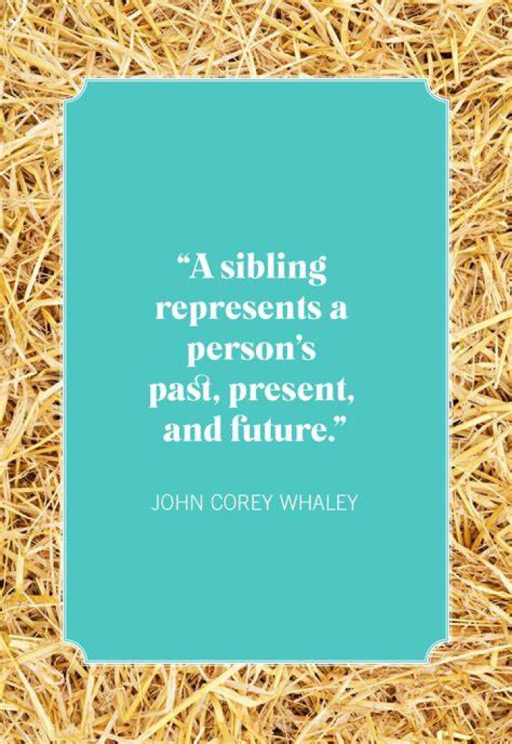 Explore Quotes On Sibling Fighting For Insightful Discoveries