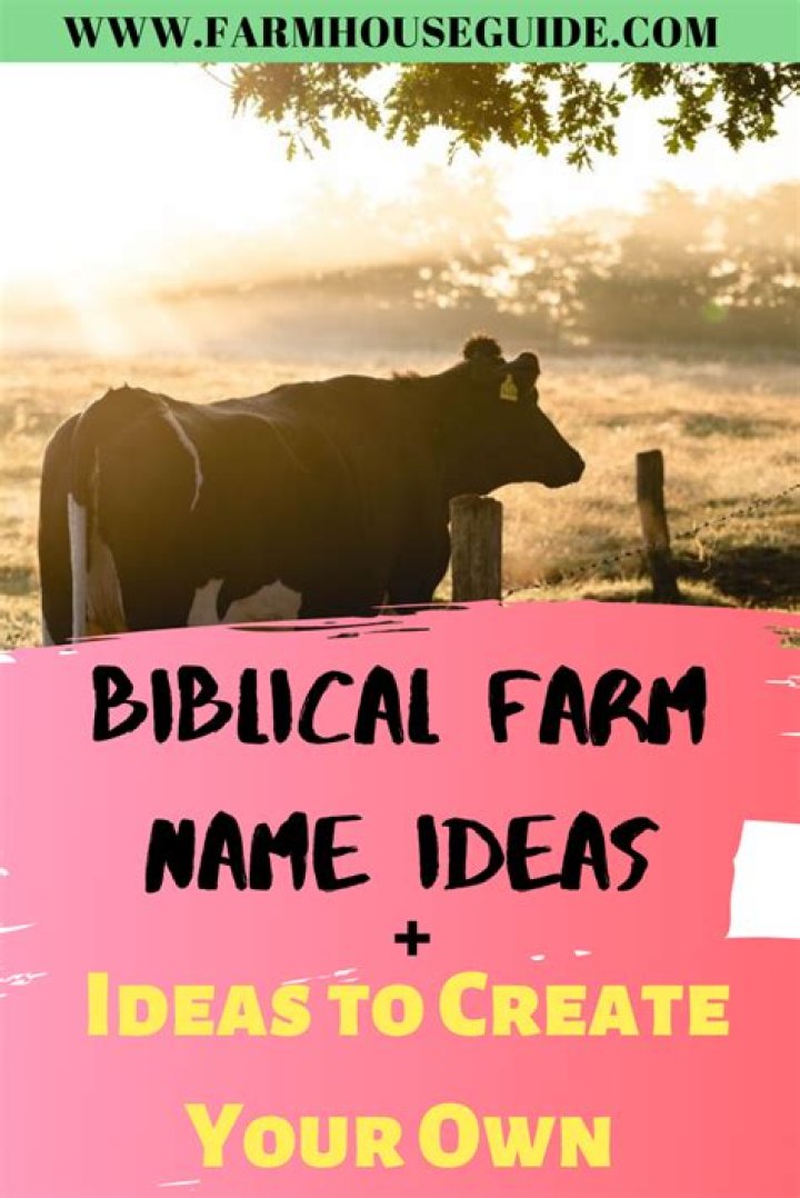 Farm Name Ideas Farm House