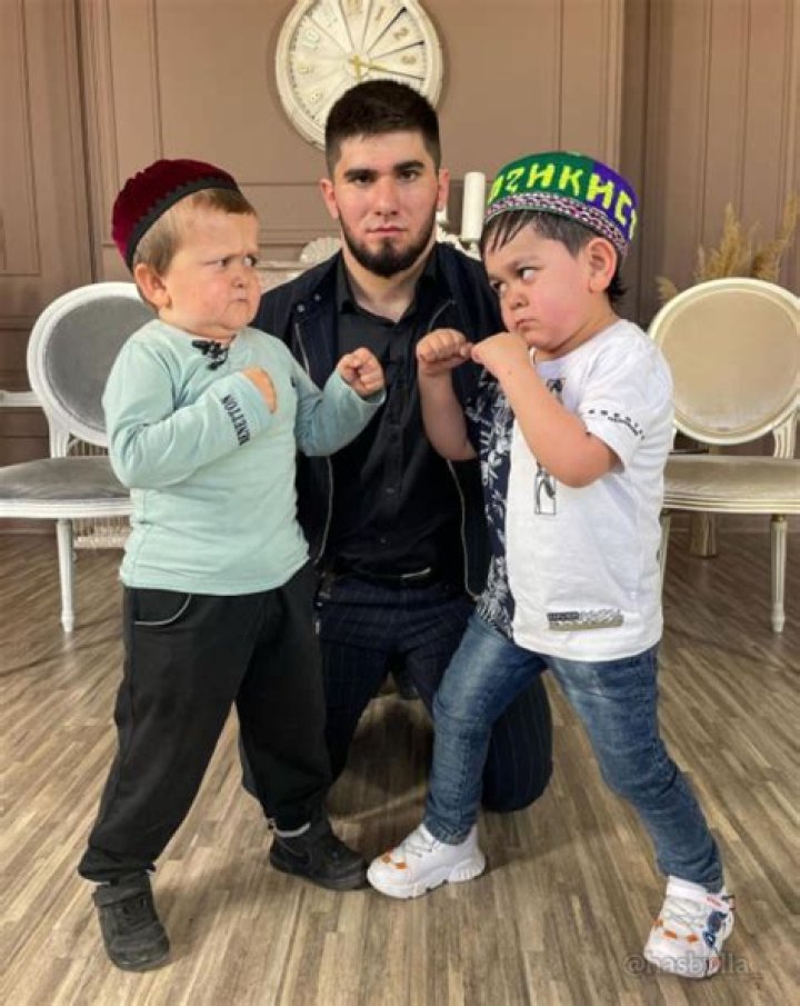 Hasbulla Magomedov Know Your Meme vlr.eng.br