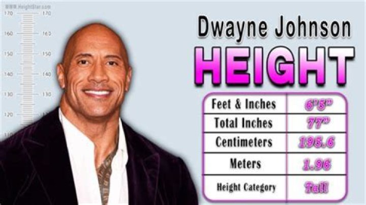 Height, Weight, And Net Worth Revealed!