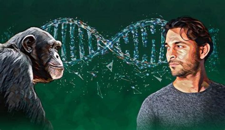 How much DNA do we share with a gorilla?