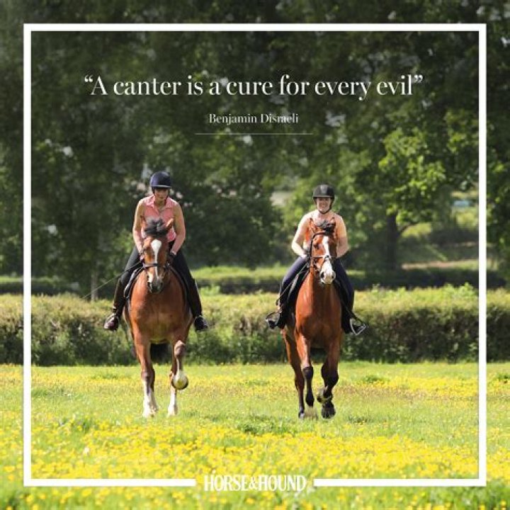Master The Art Of Captivating "Caption For Riding A Horse"