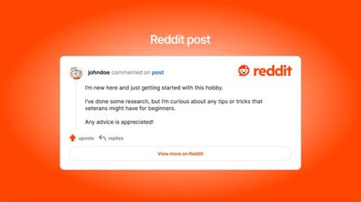 /r/thewomenofnewsmax Reddit post and comment search SocialGrep