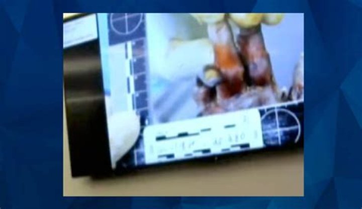 Savannah Soto Autopsy Report Reveals Cause Of Death