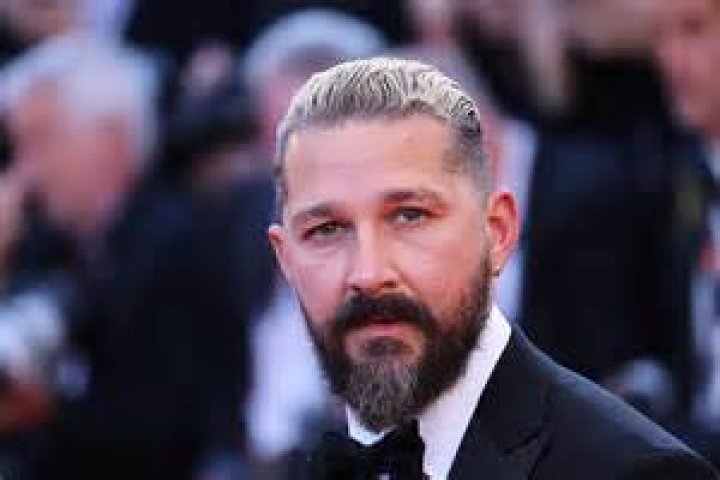 Shia LaBeouf's Smile, Beyond The Meme