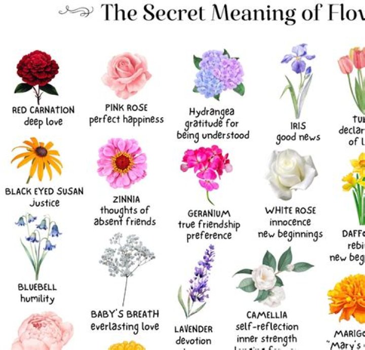 Timeless Elegance And Hidden Symbolism Unveiled