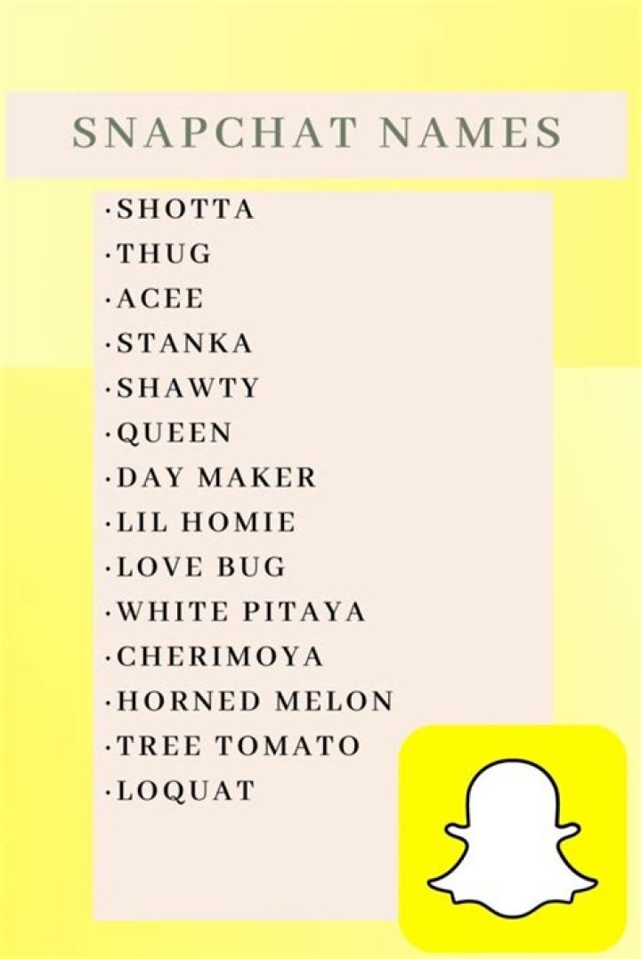 Top 129 + Funny snapchat names