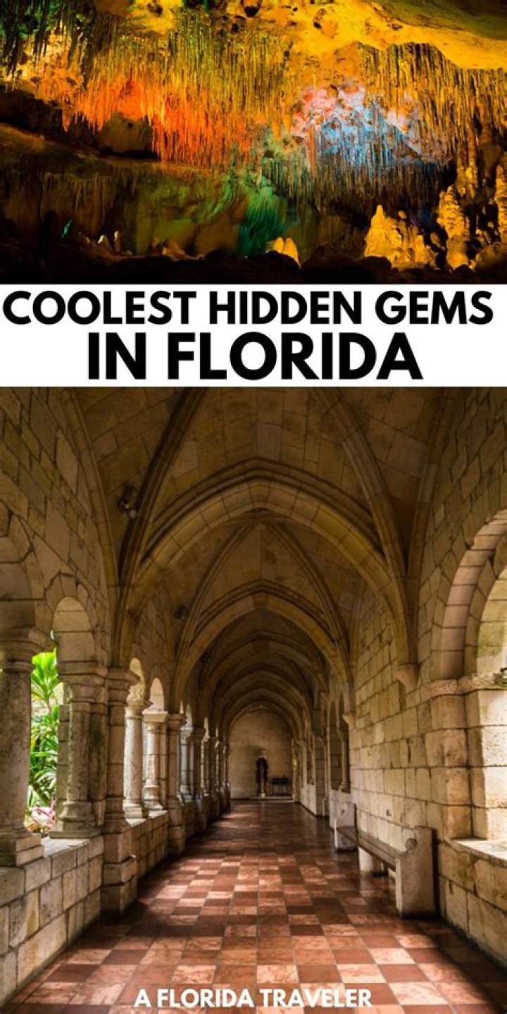 Uncover Hidden Gems And Inspiring Insights