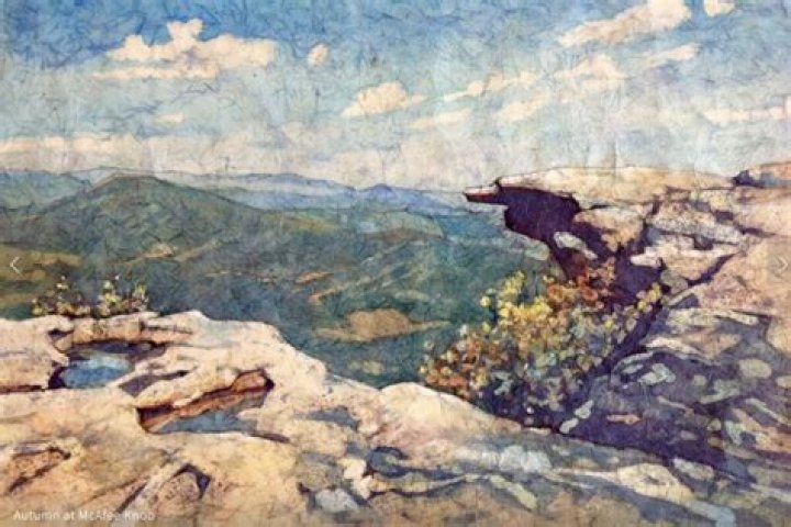Uncover The Art Of Susan Singer: Nature's Canvas Revealed