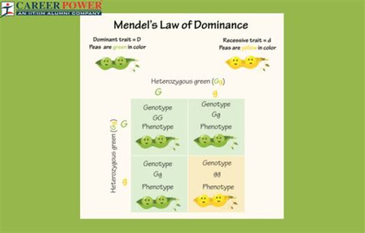 Uncover The Secrets Of Defensive Dominance With Lee McMillan