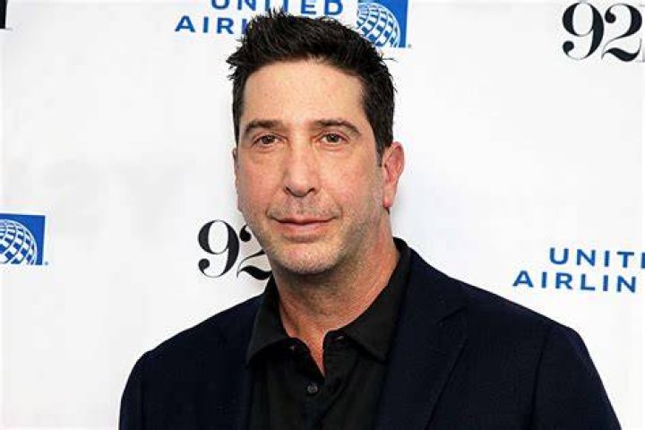 Unveiling The World Of David Schwimmer's Artistic Partner
