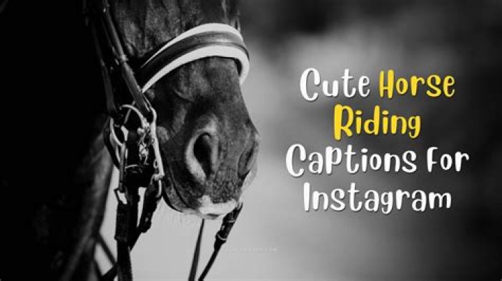 [UPDATED] 472+ Horse Captions And Quotes For Instagram Metromag