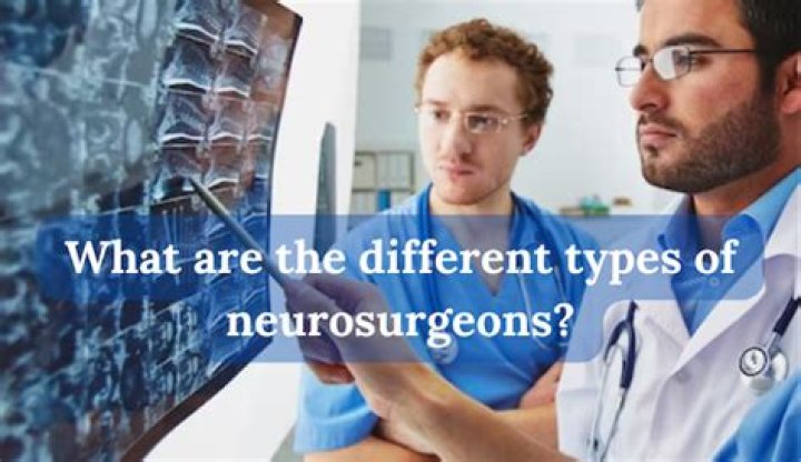 What do neurosurgeons study in college?
