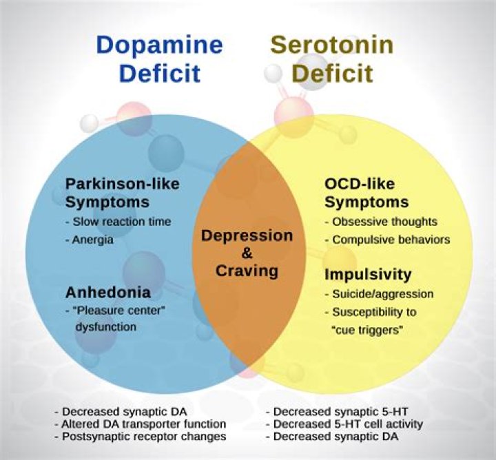 What drugs decrease serotonin levels?