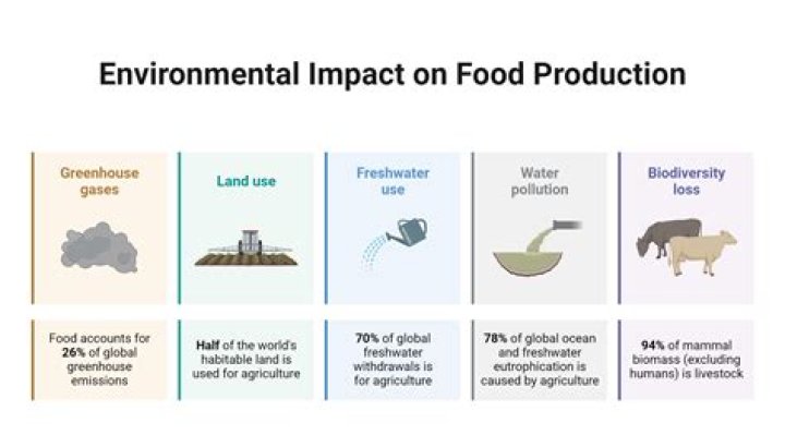 What environmental problems arise from industrialized production?