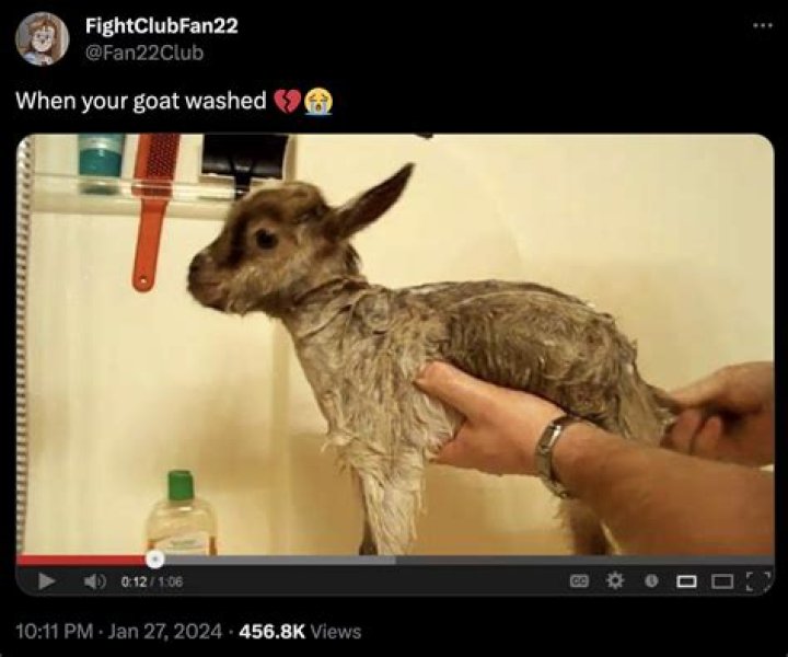 What would happen if you never washed your sheets?