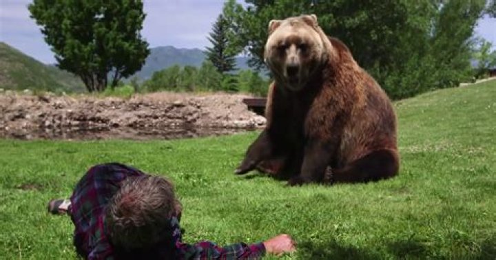 Why Bart The Bear's Life Ended